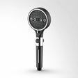 Mossway Filtered Shower Head